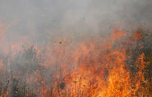 Сухи треви горят край санданското село Дамяница в близост до автомагистрала "Струма"