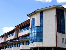 Майката на трите спасени мечета край с. Барутин остава в неизвестност