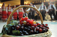 На Трифон Зарезан в Добрич лозари ще премерят майсторлък в приготвянето на най-доброто домашно вино