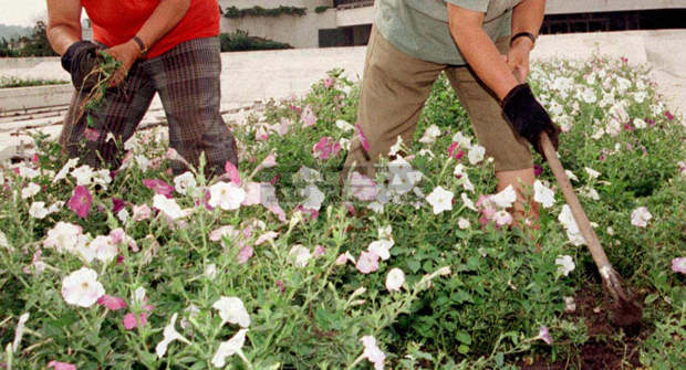 В Ямболска област ще бъдат разкрити нови работни места по регионалната програма за заетост
