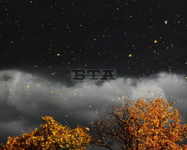 До 100 км/час достига скоростта на вятъра в Русе