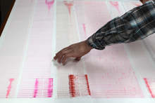 Six Light Quakes Registered in Smolyan Region