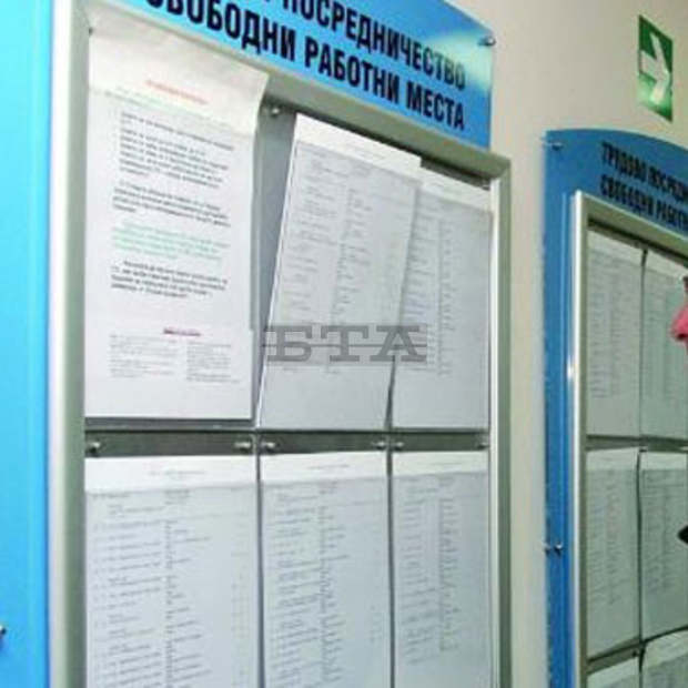Над 570 работни места са обявенина първичния пазар в област Търговище през март