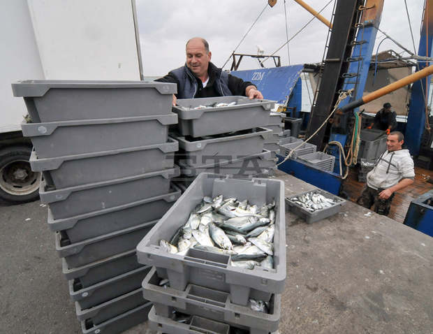 В Добричка област са осигурени инвестиции за близо 5 милиона лева чрез местните инициативни групи