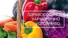 В Садово започна първият фестивал на еко и био производителите и на арт творците