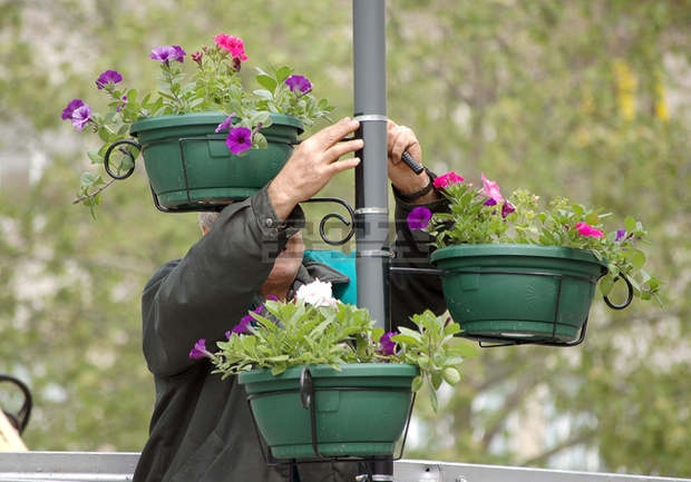 Поставят саксии с висящи цветя по уличните стълбове в Търговище