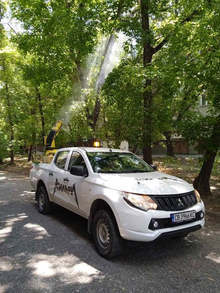 Във Видин е извършена обработка на дървесната растителност срещу бяла американска пеперуда