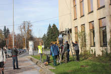 В Плевен за седмица засадиха 71 фиданки