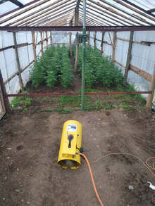 Полицаи иззеха 77 килограма канабис от имот на руска гражданка в Монтанското село Якимово