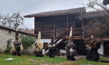 Кукерите в Разлог се подготвят за фестивала  "Старчевата"