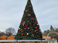 Коледната елха ще грейне в Перник на 3 декември