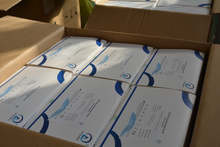 В област Плевен 3600 малки ученици се връщат в клас след тестване