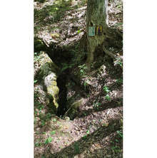 Нови пътеки за посетители са определени в резервата "Средока" край Малко Търново