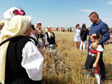 Падат изкупните цени на пшеницата, посочват  зърнопроизводители в Сливенско