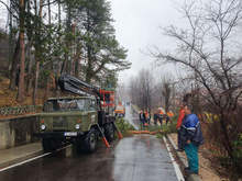 Община Трявна е премахнала опасни дървета, застрашаващи път и железопътна линия