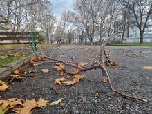 Ураганен вятър остави сливенски села без ток