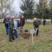 Залесиха с дръвчета пространството около изграждащия се Военен мемориал в Разград