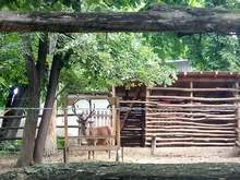 Разградският зоокът посреща зимните месеци в пълна готовност