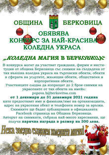 Община Берковица ще награди автора на най-красивата коледна украса