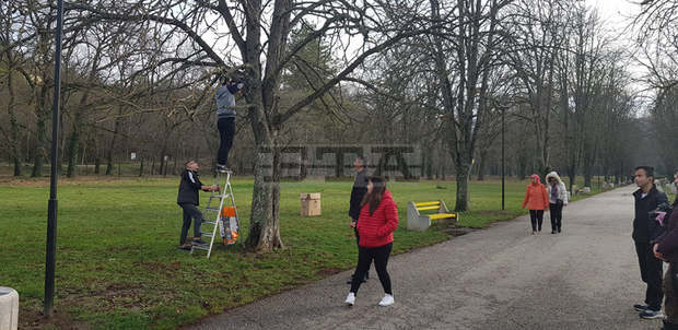 Младежи поставят хранилки за птици в плевенския парк "Кайлъка"