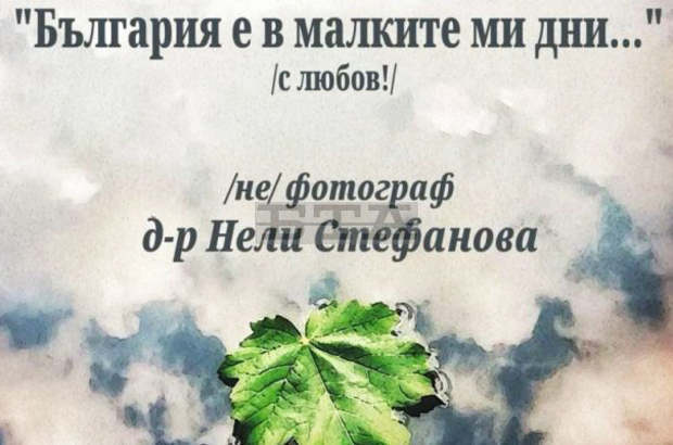 "Арт Център - Плевен" подготвя благотворителна изложба за  Медицинския университет за отстраняване щетите от пожара