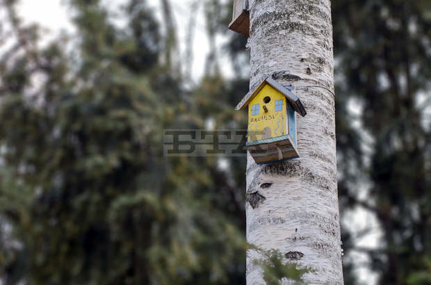 Работилница за къщички за птици организира Младежки център - Добрич