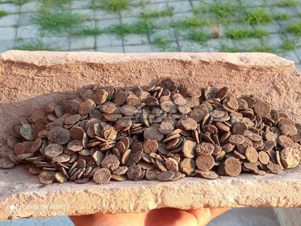 С шест колективни монетни находки започна археологическото лято на крепостта "Ковачевско кале" край Попово