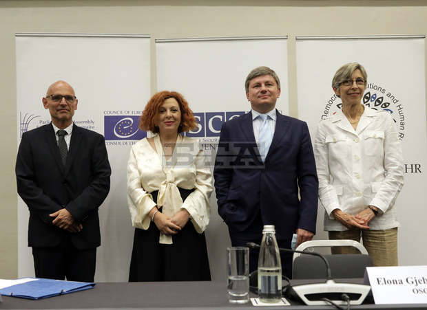 Изборите бяха със състезателен характер и основните свободи бяха зачетени като цяло, смята координаторът на мисията за наблюдение на ОССЕ