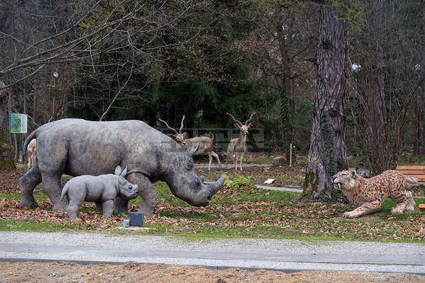 Палеопарк с макети на животни от последните 2,5 милиона години е изграден във Вършец по европейски проект