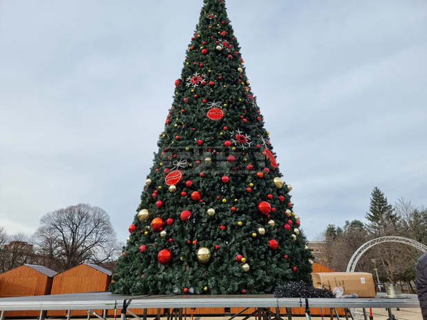 Коледната елха ще грейне в Перник на 3 декември