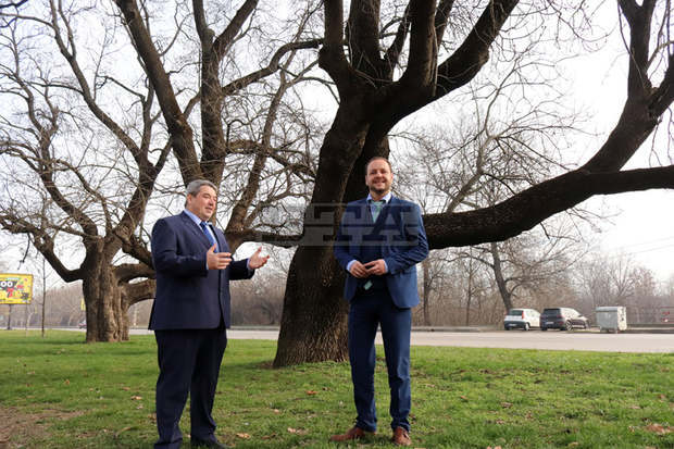 Държавата може да дофинансира с 6200 евро закупуването на нов електрически автомобил при извеждане от експлоатация на стар