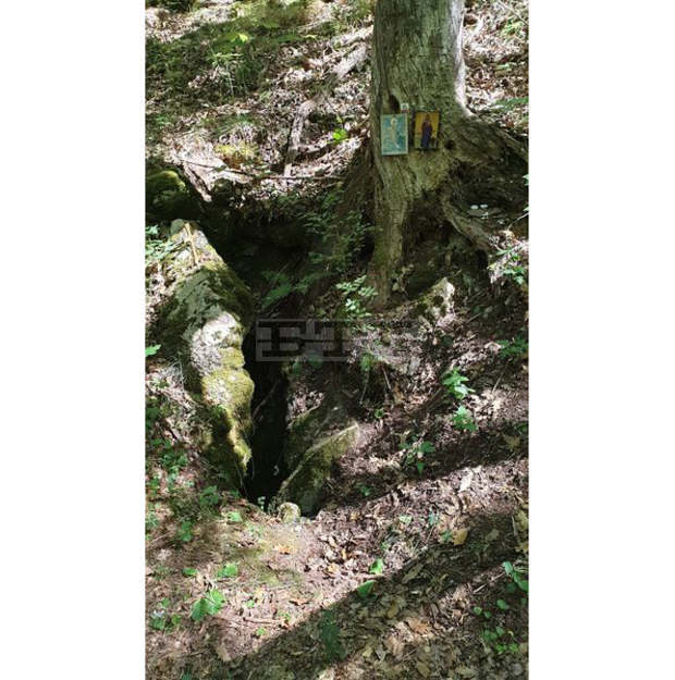 Нови пътеки за посетители са определени в резервата "Средока" край Малко Търново