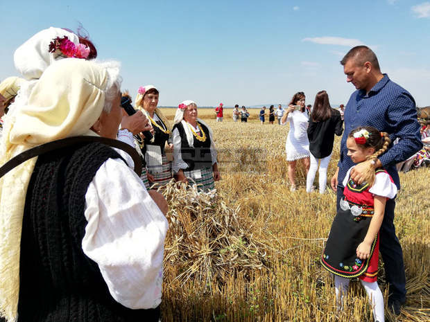 Падат изкупните цени на пшеницата, посочват  зърнопроизводители в Сливенско