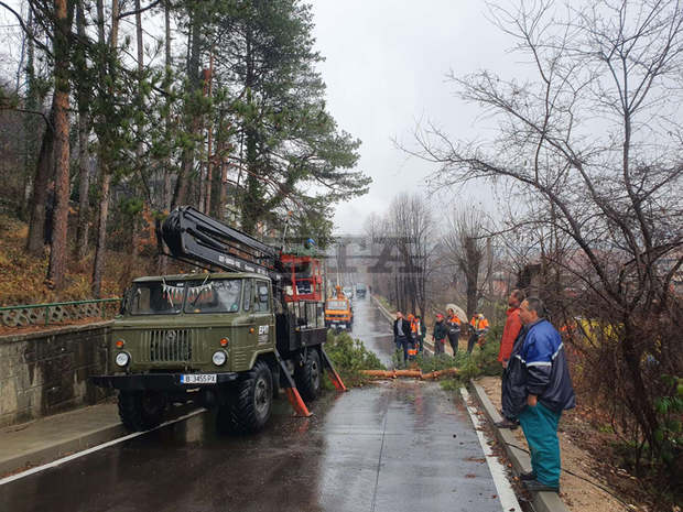 Община Трявна е премахнала опасни дървета, застрашаващи път и железопътна линия