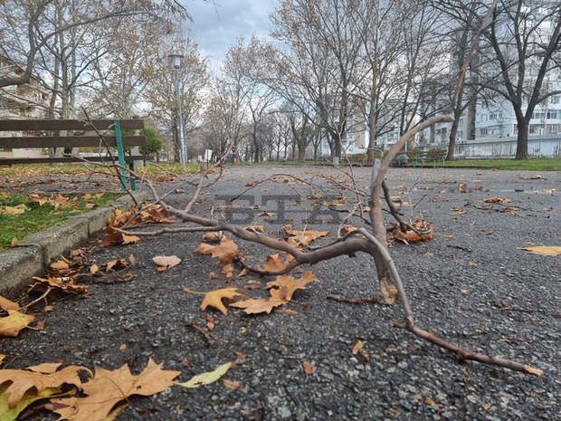 Ураганен вятър остави сливенски села без ток