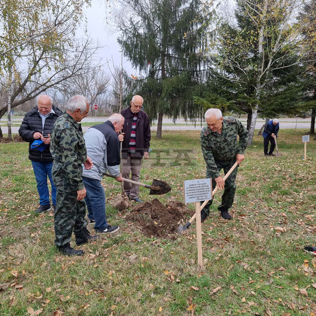 Залесиха с дръвчета пространството около изграждащия се Военен мемориал в Разград