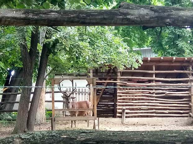 Разградският зоокът посреща зимните месеци в пълна готовност