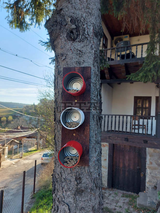 Хранилки за птици изработиха и монтираха младежи от Омуртаг