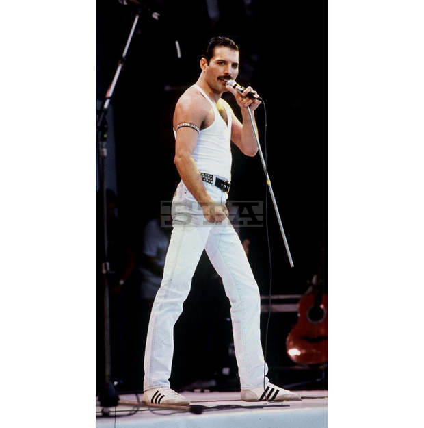 Тридесет години след смъртта на Фреди Меркюри, български музиканти ще почетат паметта му с концерт в Бургас