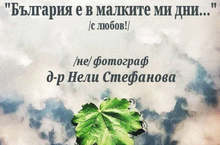 "Арт Център - Плевен" подготвя благотворителна изложба за  Медицинския университет за отстраняване щетите от пожара