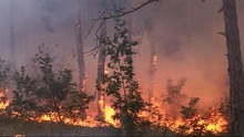 Пожарите в сухи треви в Монтанско зачестяват
