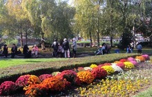 В региона на Плевен коефициентът на безработица се е увеличил през 2013 г. спрямо предходния период с 1.8 пункта, сочи анализ на ТСБ 