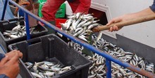 Рибарите в Балчик раздадоха курбан за здраве и късмет в улова
