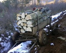 Два случая на незаконна сеч са установени в Новозагорско