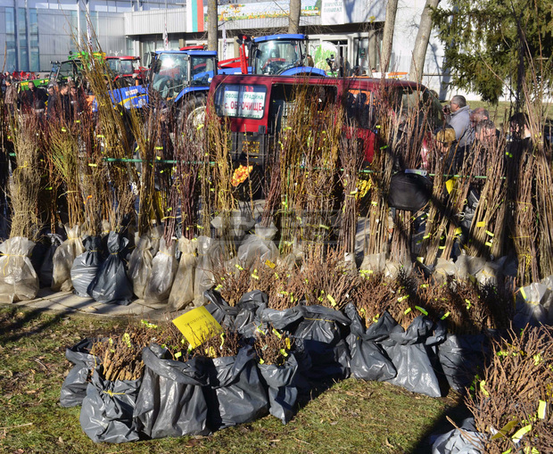 Близо 50 агрофирми и научни институти ще представят новости на Борсата за семена в Добрич