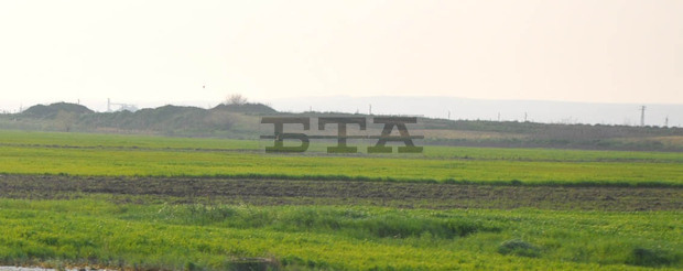 Цената на земеделската земя в Добричка област е най-висока в страната - 1256 лева за декар