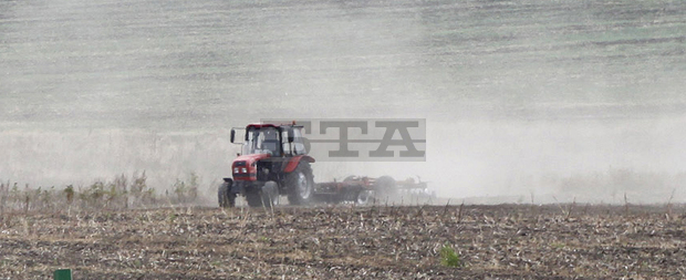 Масивите с пшеница в Добричкия регион надхвърлиха 1 000 000 декара