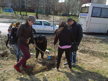 Младежи от Северна България, участници в семинар на ГЕРБ в Плевен, днес са засадили 40 дръвчета в района на автогарата 