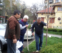 Залесителна акция организираха ротарианците в Разград 