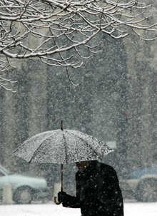 В цялата Силистренска област вали сняг 